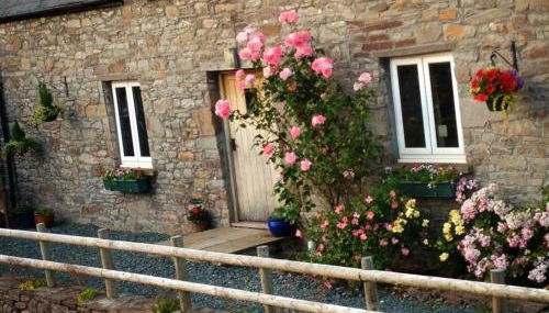 Llwyn Llwyd Cottage - Photo 1