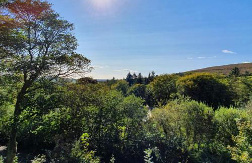 The Sett - The Cottages at Blackadon Farm - Foto 22