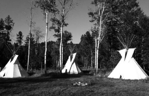 Enchanting Cabin with Beautiful Views near Glacier National Park, Montana - Foto 7