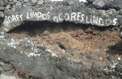 Adega Ilhéu - Photo 42