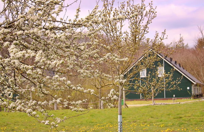 Cozy Forest-edge Home - Foto 24