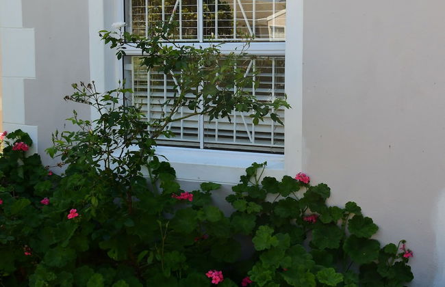 Bradclin @ York Place - Foto 22