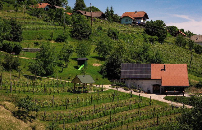 Vineyard cottage Škatlar 3 - Foto 1