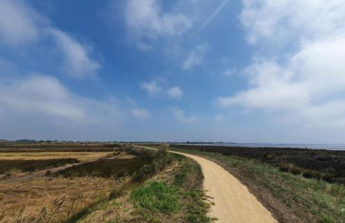 The Palm House - Foto 37