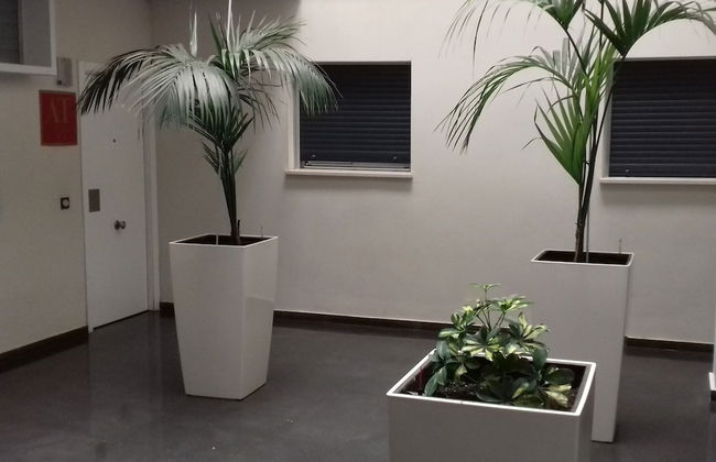 Apartamentos Turísticos Los Ángeles - Foto 43