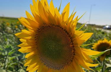 Residencias Ana Carmen - Foto 15