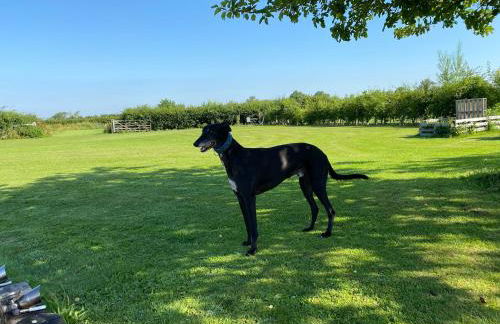 Bluebell Farm - Foto 57