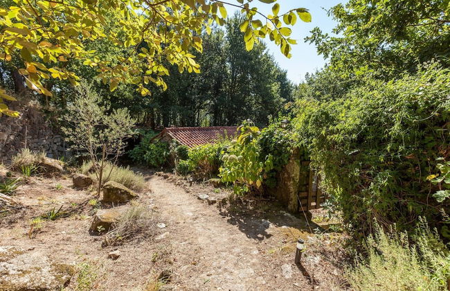 Forest House Casinha do Carvalhal - Foto 22