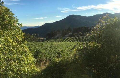 Historic Tuscan Villa - Foto 31