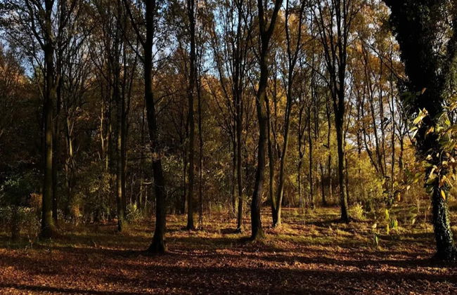 5 Person Holiday Home in Kolind - Photo 10