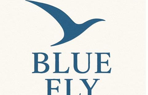 Blue Fly - Foto 24
