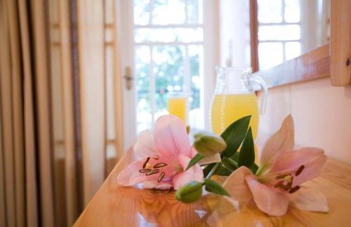 Pansion Filoxenia Apartments & Studios - Foto 20