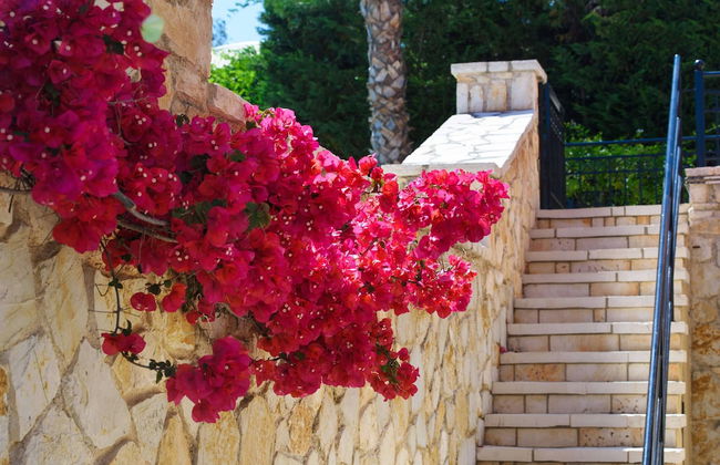 Luxury Villa Lemonia With Private Pool - Photo 42