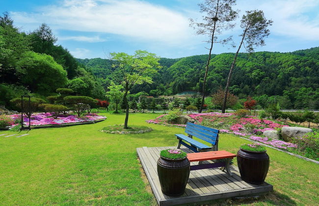 Byeolmuri Pension - Photo 28