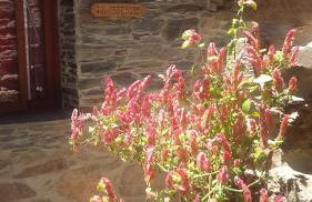 Casas dos Carregais - Foto 25