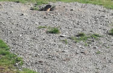 Residence Alice - Foto 22