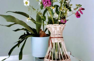 LE ORIGINI casa in borgo tipico lucano - Foto 23