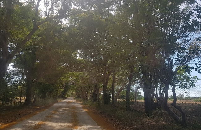 Wonderfarm Villa - Foto 33