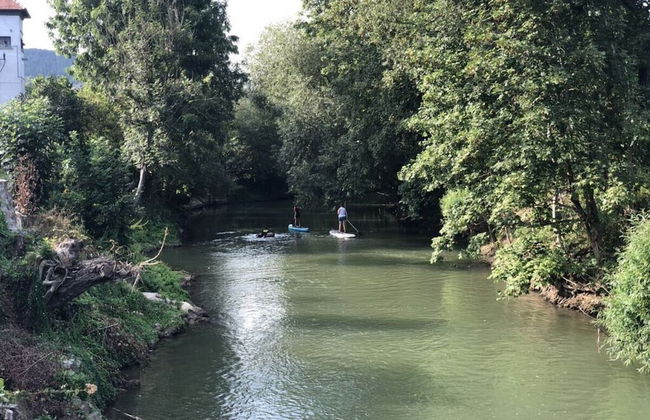 Apartment in Tauberbischofsheim - Foto 6