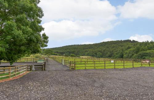 Orchard Cottage - Uk30524 - Foto 19