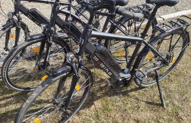 Zagroda Wataha 782 305 923 - Foto 32