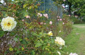 Casa Campo das Bizarras - Foto 101