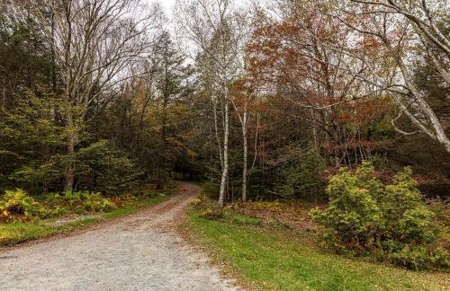 Private Chalet with Fire Pit Deck and Large Yard - Foto 46