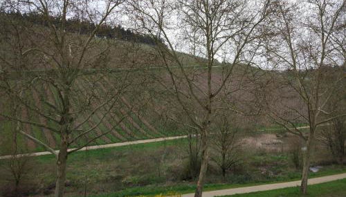 Ferienappartement Trier - Foto 5