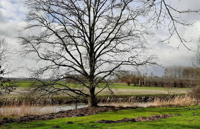 Farmhouse Home in Eede - Foto 27