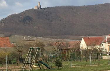 Vignobles Frey-Sohler - Foto 25