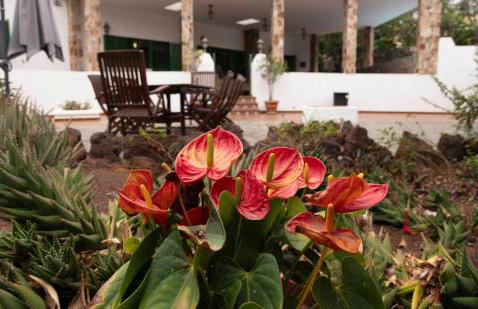 Villa La Finca - Foto 9