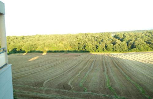 Apartamento Golf Buenas Vistas - Foto 33