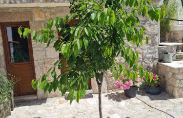 Villa Sokol with tennis court, heating pool, gym and sauna - Foto 52