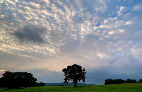 Bachmanns Ferienwohnung - Foto 21