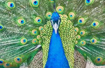 Lower Marsh Farm in Cornwall - Photo 21