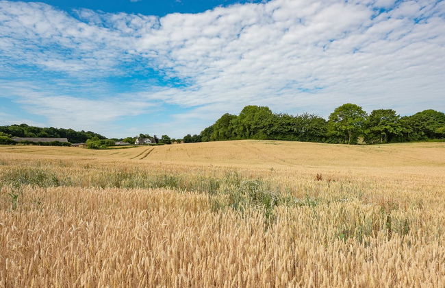 "Edithe" - 250m from the sea - Foto 3