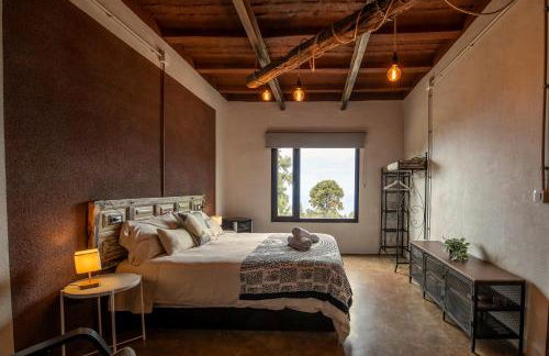 Monte frio de Tenerife - Foto 41