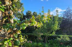 Villa Argonaute - Photo 9