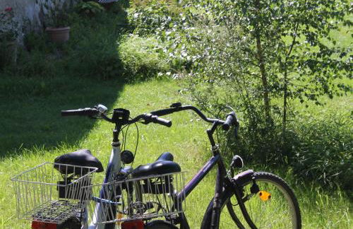 Ferienwohnung in Steffenshagen mit Terrasse - Foto 31
