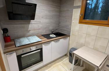 Hôtel Résidence La Maison par Les Pins Sylvestres Amnéville les Thermes - Foto 22