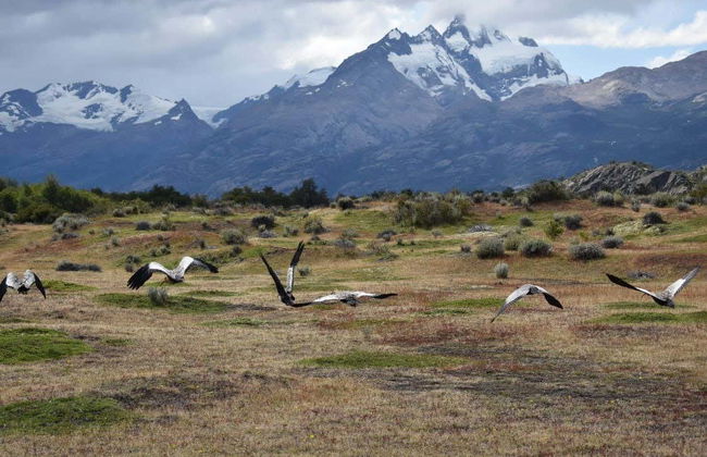 Estancia Cristina & Upsala Glacier Cruise - Foto 3