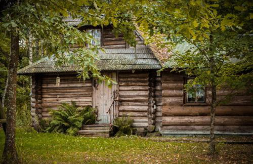 Chatka w lesie - Foto 44