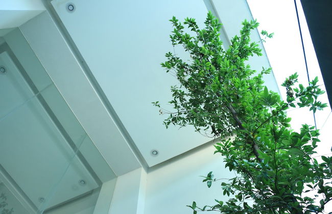 Departamento Céntrico Guadalajara - Foto 7