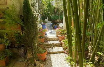Maison et terrasse dans le jardin du Château de Gaillard - Foto 7
