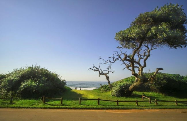 4 Dolphin views La Mercy - Foto 15