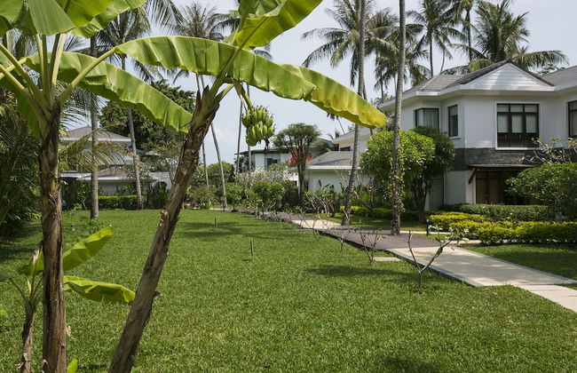 Lotus Samui - Photo 65