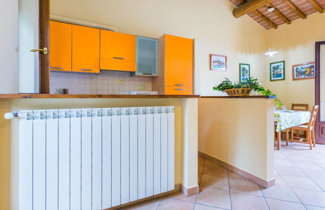 Fiordaliso - Foto 12