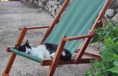 Skulka Apartment - Cres Island - Photo 8