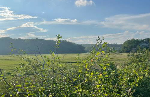 Rye by the Beach Walk to the sand- multi-gen stays - Foto 50