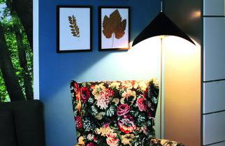 Ostsee-Ferienwohnung Uhlnüst Graal-Müritz - Foto 3